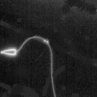 [400kb GIF animation]