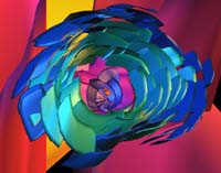 RoseBudW5c